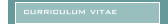 curriculum vitae