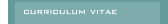 curriculum vitae