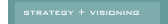 strategy + visioning